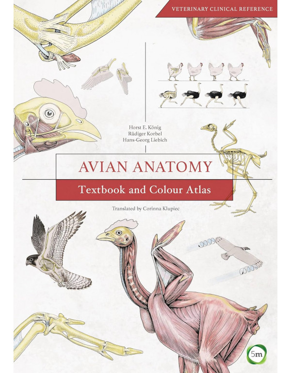 Avian Anatomy Textbook And Colour Atlas By Horst E. Koenig, Ruediger Korbel, 2nd edition *DOWNLOAD VERSION*